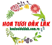 hoatuoidaklak.com.vn